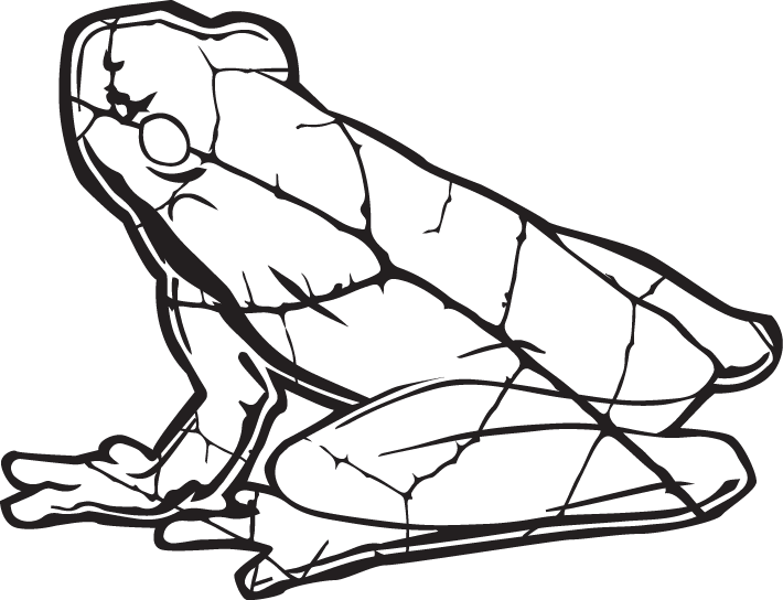 The Purple Kind Labs  Logo